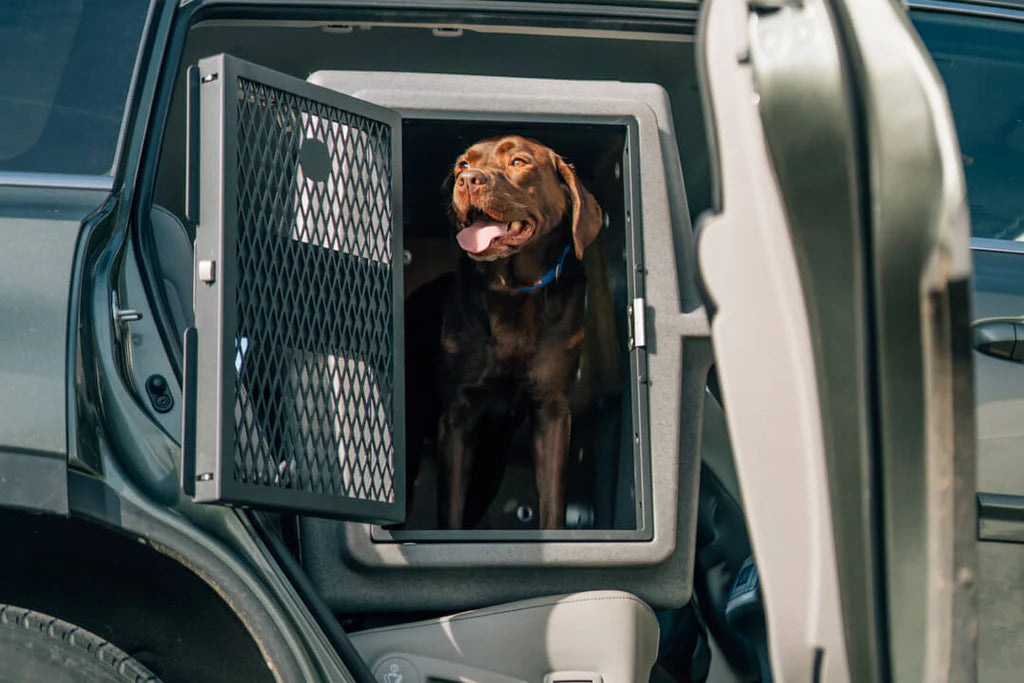 Dakota 283 - Hero Kennel