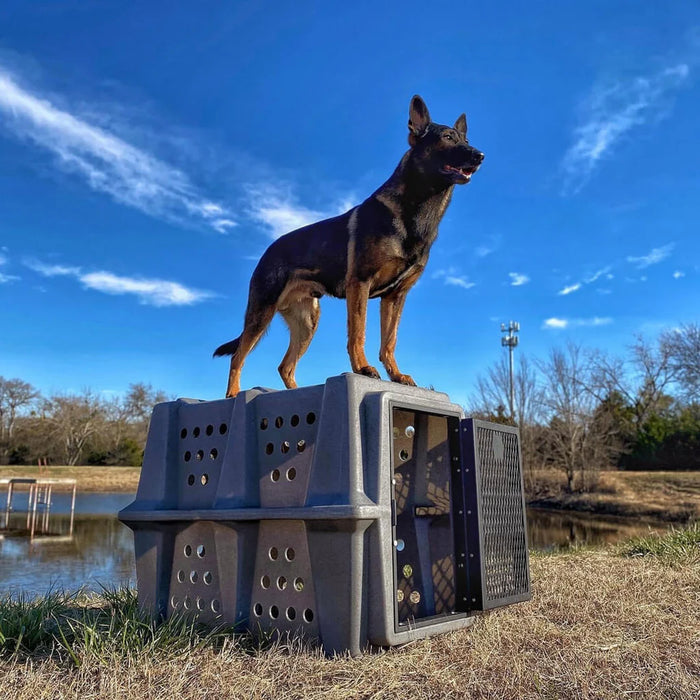 Dakota 283 - Hero Kennel