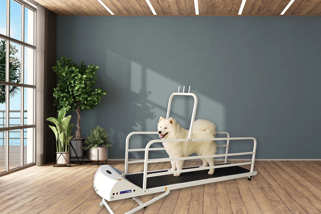 GoPet - PetRun RP725 Treadmill for Large Dogs up to 176 lbs