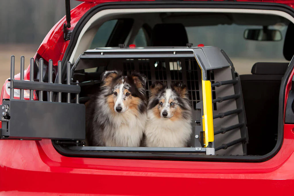 MIM Safe - Variocage Compact - Crash Tested Crate for Hatchbacks