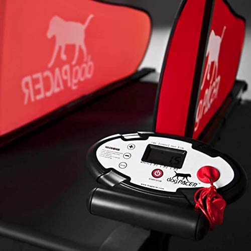 dogPACER - MiniPacer Dog Treadmill