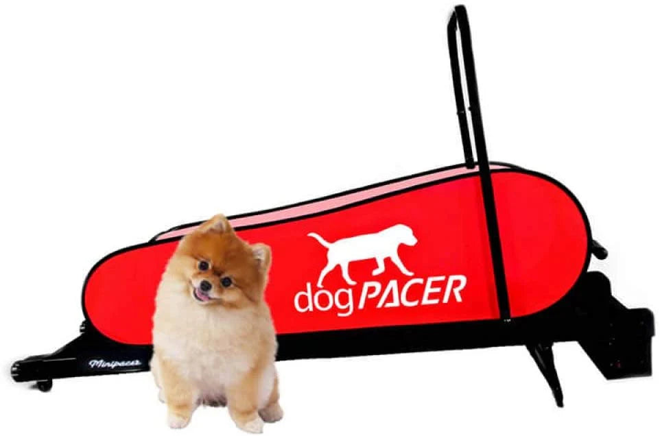 dogPACER - MiniPacer Dog Treadmill