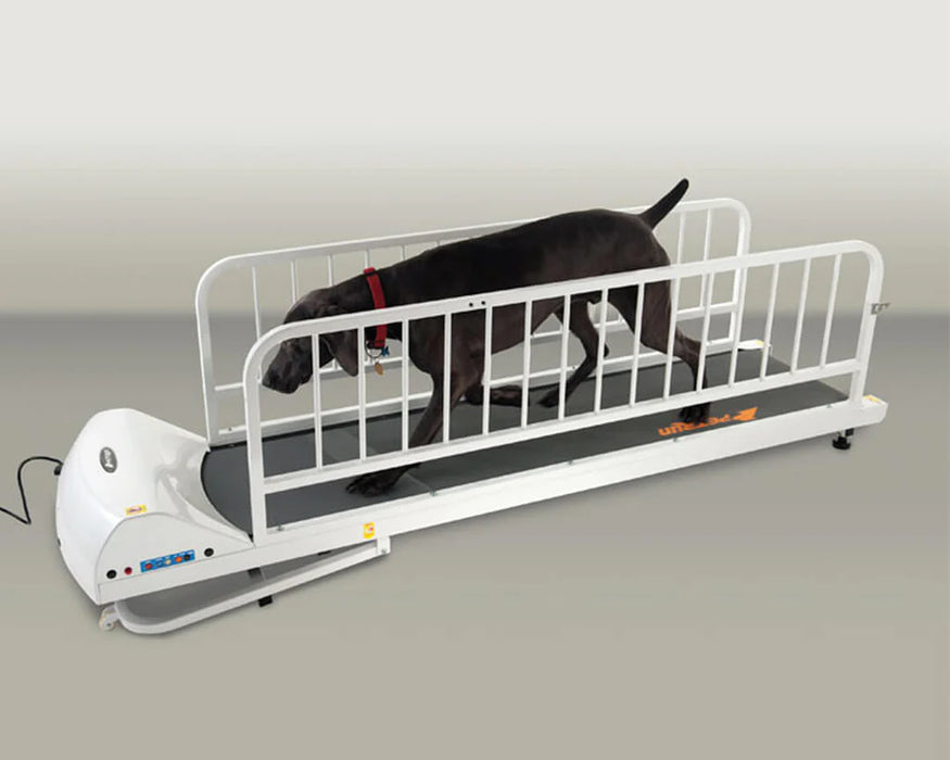 GoPet - PetRun RP725 Treadmill for Large Dogs up to 176 lbs
