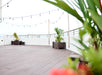 Tobermory Muscari recycled plastic planter lifestyle photo