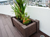 Tobermory Muscari recycled plastic planter with landscaping
